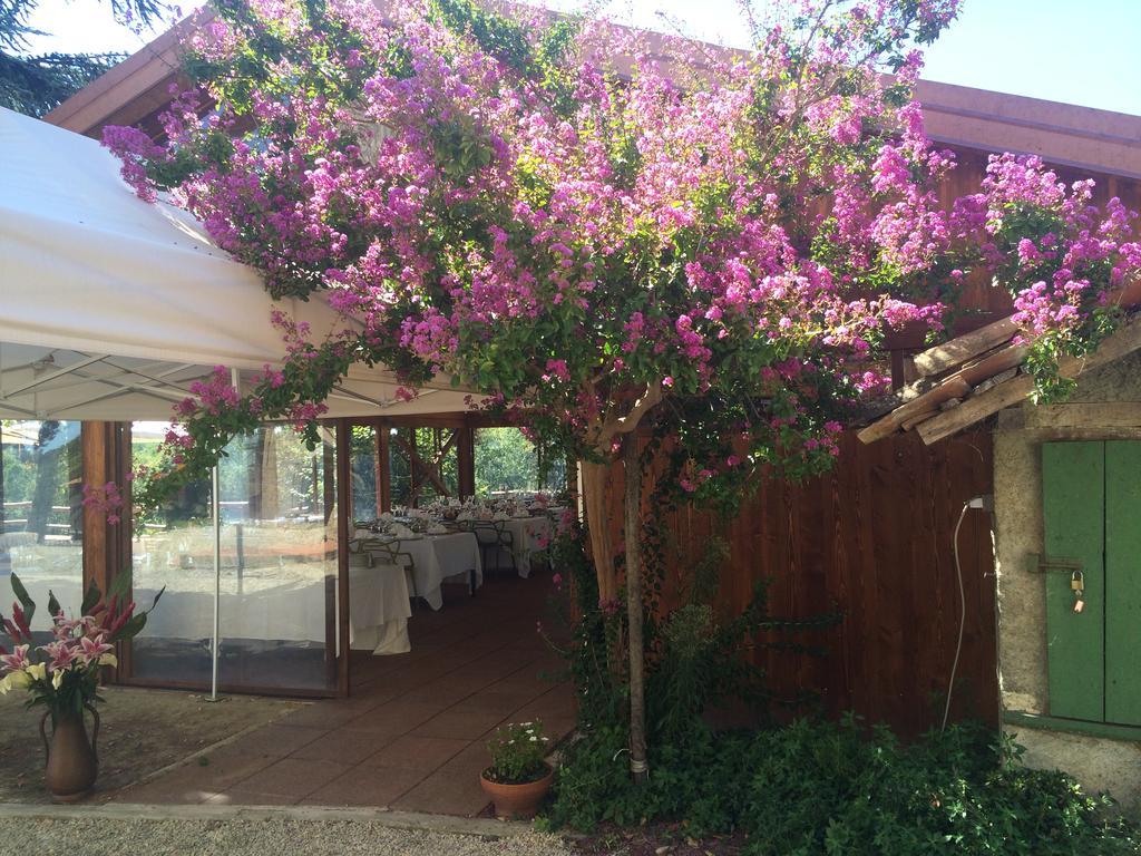 Agriturismo Ristorante Albachiara Villa Carpeneto Bagian luar foto